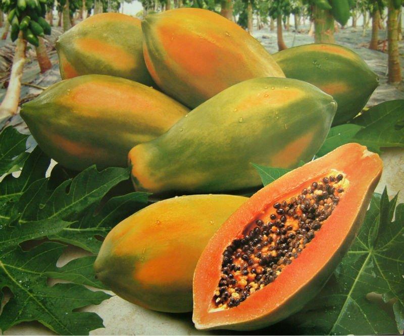 Por qué la papaya sin semillas es tan especial