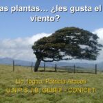 Por qué la Termomorfogénesis beneficia a las plantas
