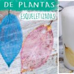 Por qué las hojas de las plantas se esqueletizan