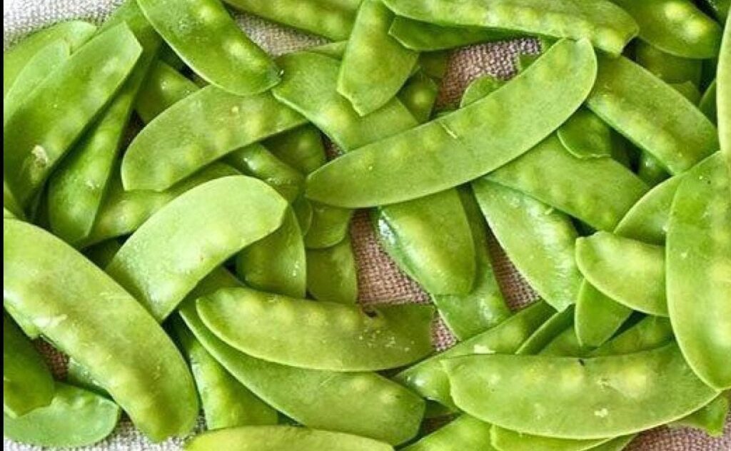 Por qué los guisantes de azúcar no forman vainas