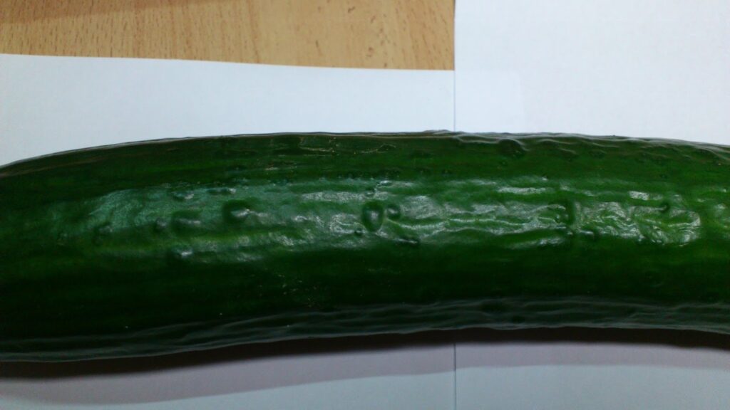 Por qué los pepinos tienen esas protuberancias y agujeros