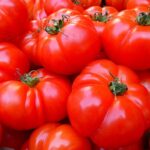 Por qué los tomates rojos tienen semillas verdes dentro