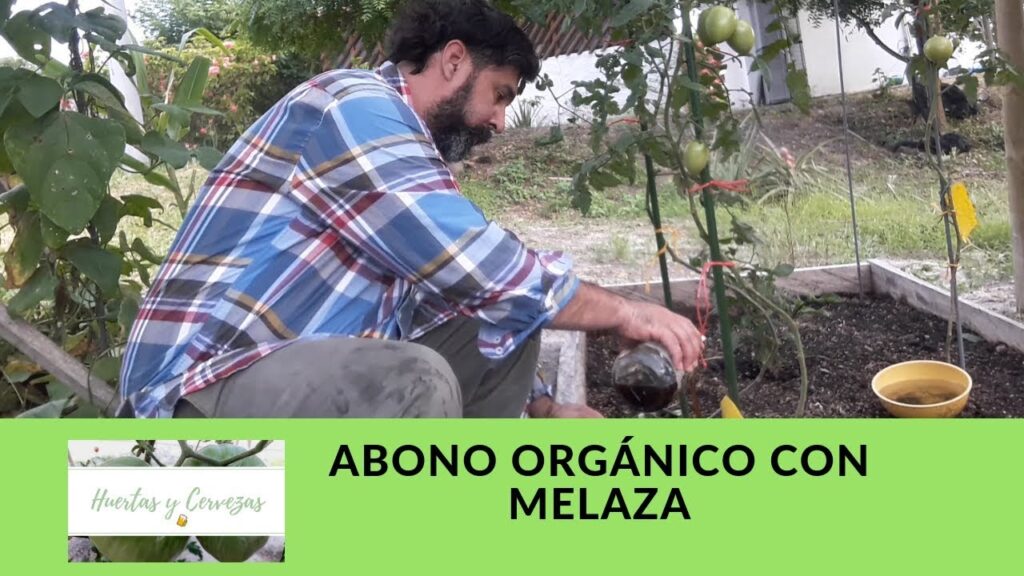 Por qué usar melaza como fertilizante en el jardín