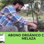 Por qué usar melaza como fertilizante en el jardín