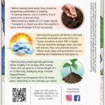 Por qué y cómo debes nicking plant seeds antes de plantar