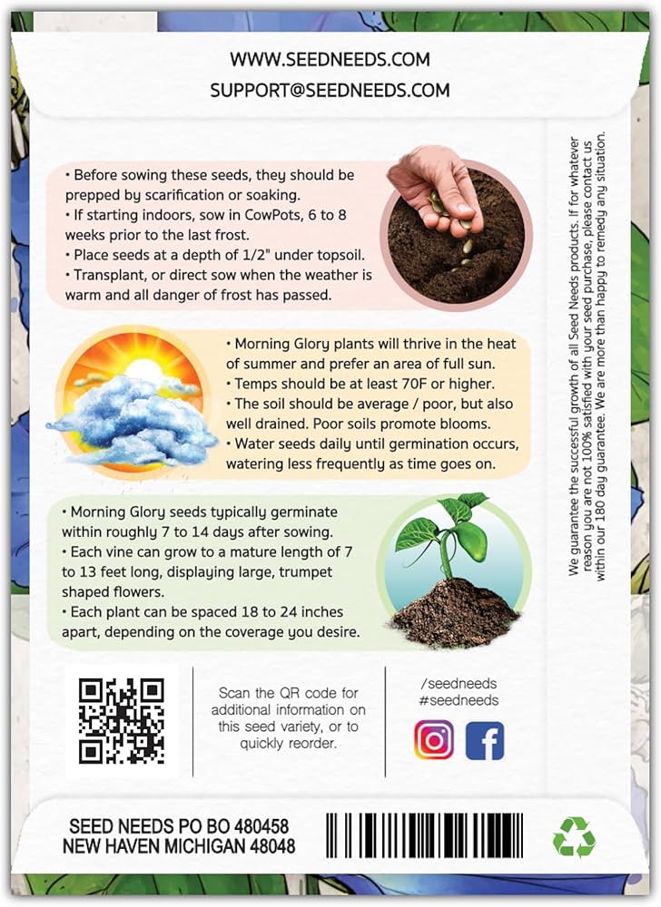 Por qué y cómo debes nicking plant seeds antes de plantar