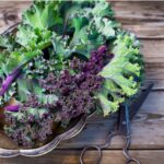 Prickly Kale: Descubre si las hojas de kale tienen espinas