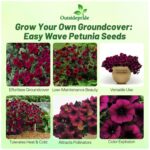 Propagación efectiva de petunias desde semillas