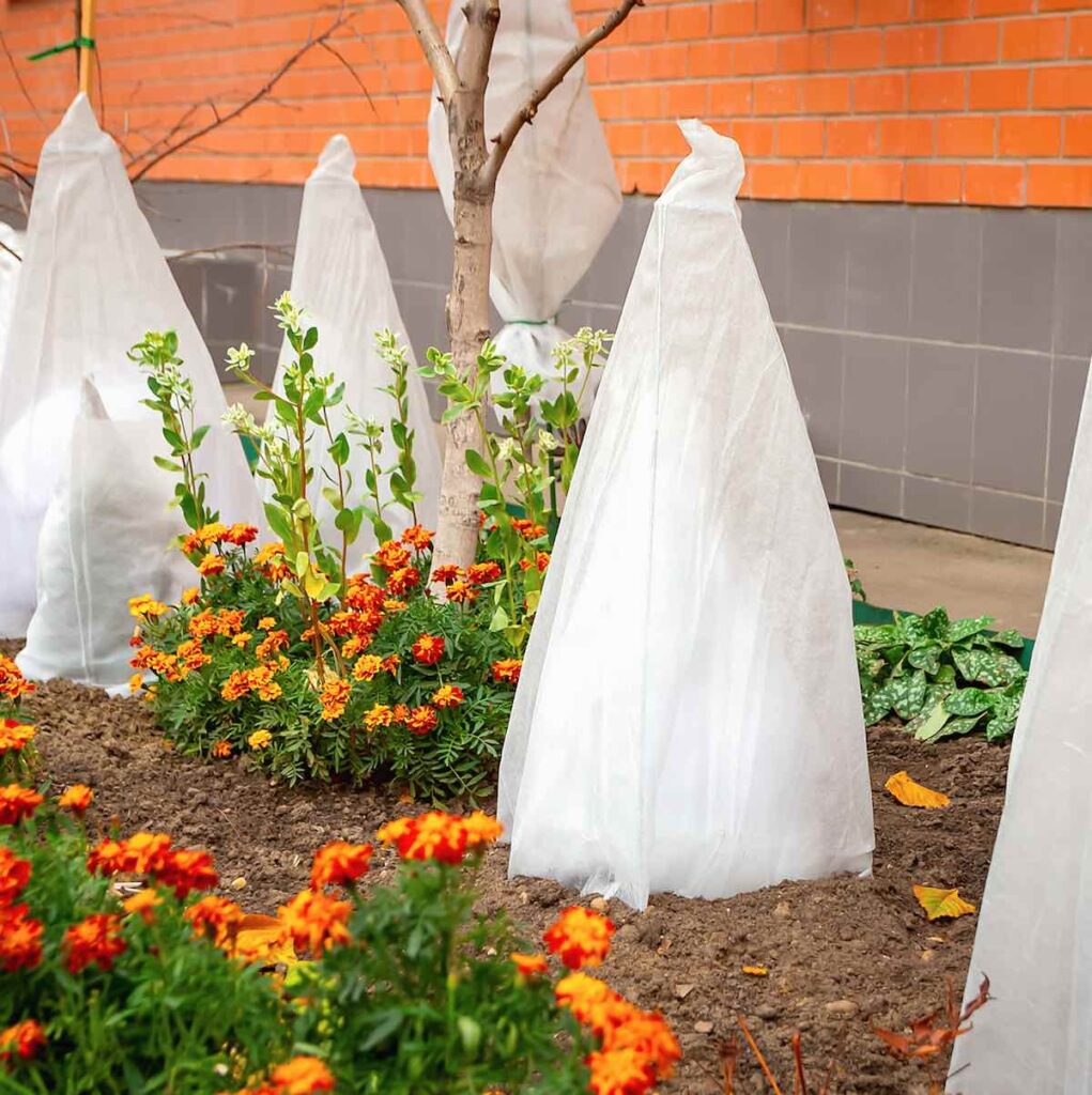 Protege tus plantas del frío manteniéndolas calientes