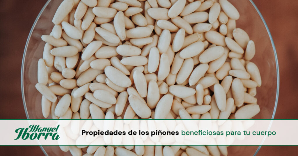 Qué aportan los piñones a nuestra dieta y de dónde provienen