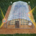 Qué beneficios aporta la Electrocultura en la jardinería