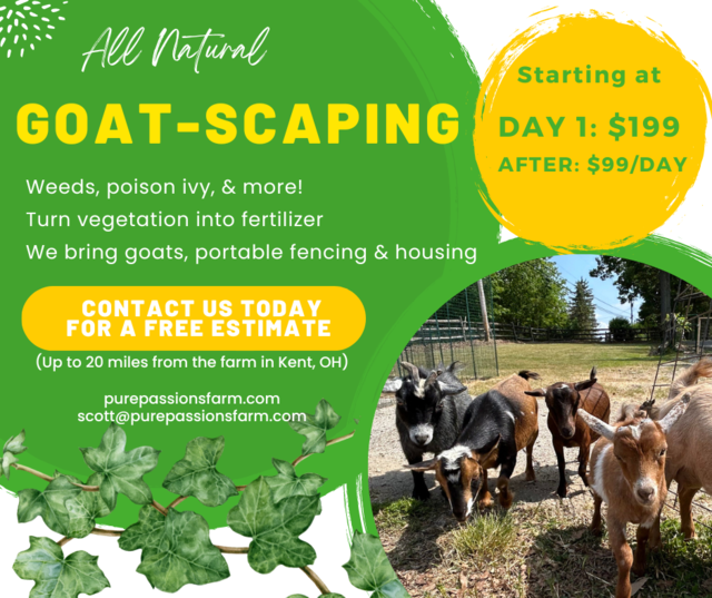 Qué beneficios tiene el Goatscaping en la jardinería