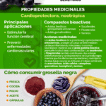 Qué beneficios y usos tienen las hojas de grosella negra
