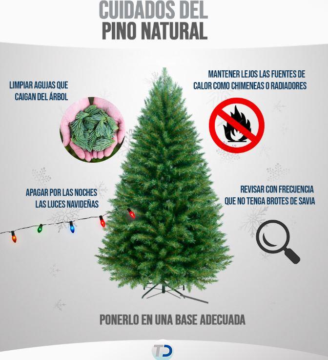 Qué cuidados necesita un árbol de Navidad vivo en casa