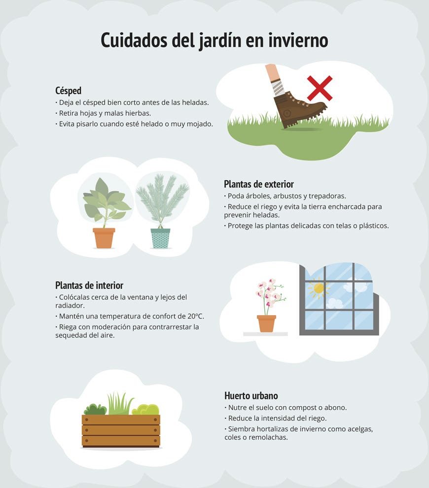 Qué cuidados necesita un jardín de invierno en interiores