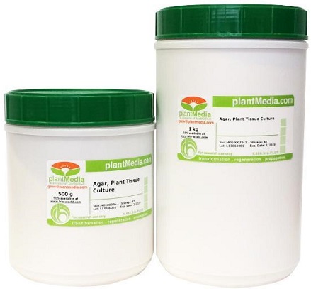 Qué es el Agar y cómo se utiliza en cultivos de plantas