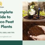 Qué es el cocopeat y cómo plantar en este suelo ecológico