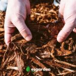 Qué es el mantillo de hojas y cómo se usa en jardinería