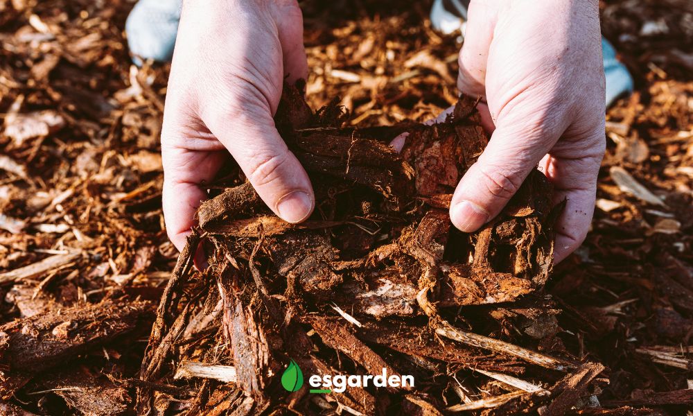 Qué es el mantillo de hojas y cómo se usa en jardinería