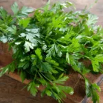 Qué es el perejil italiano y cómo cultivarlo en casa