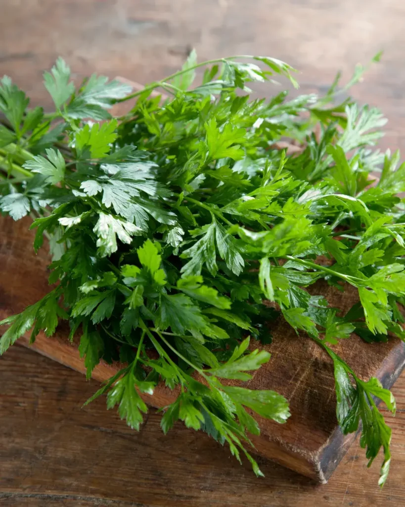 Qué es el perejil italiano y cómo cultivarlo en casa