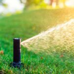 Qué es el riego al suelo y cómo se usa en el jardín