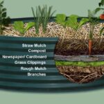 Qué es la jardinería en capas, también conocida como lasaña