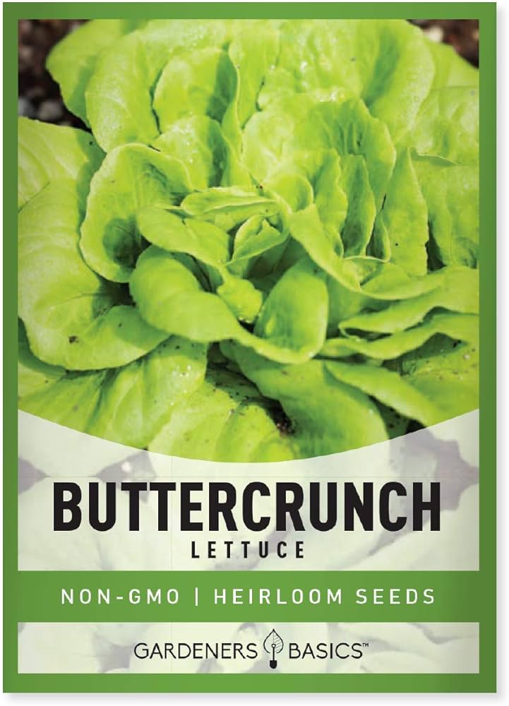 Qué es la lechuga Buttercrunch y cómo cultivarla en tu jardín
