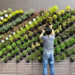 Qué es un jardín de bolsillo y cómo diseñarlo con creatividad
