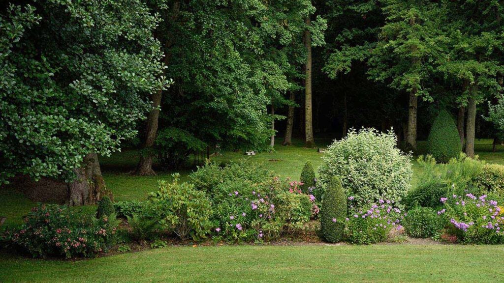 Qué plantas de sombra son ideales para jardines en la Zona 7