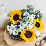 Qué plantas quedan bien junto a los girasoles en tu jardín