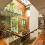 Qué plantas son ideales para jardines atrium en interiores