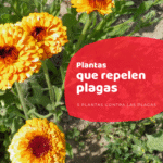 Qué plantas y flores repelen a los animales del jardín