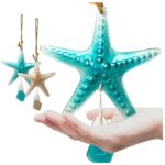 Qué se necesita para cultivar estrellas de mar en interiores
