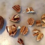Qué son los Hican Nuts y cómo usarlos en tus recetas