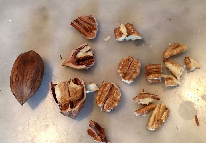 Qué son los Hican Nuts y cómo usarlos en tus recetas