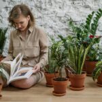 Qué tan seguido debo rotar mis plantas de interior