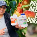 Qué tipo de producto puedo usar en la pulverización de duraznos