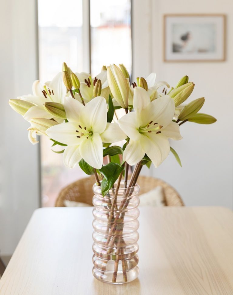 Qué tipos de flores suelen gustar más a los hombres