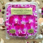 Qué tipos de orquídeas son comestibles