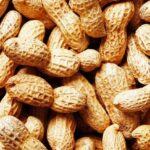 Qué variedades de cacahuetes son ideales para cubrir el suelo
