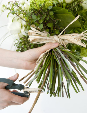 Qué y cuándo cortar flores para el ramo perfecto