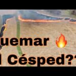 Quemar césped: Beneficios y precauciones recomendadas