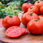 Requisitos para el crecimiento del tomate Better Boy