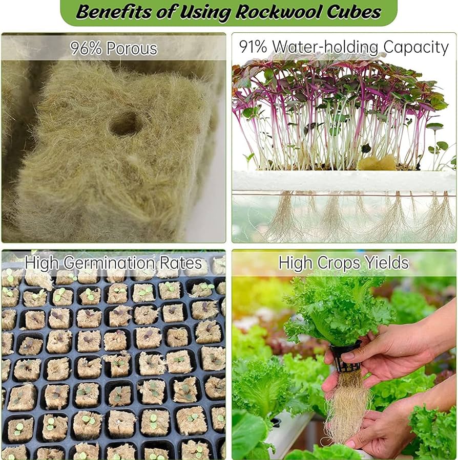 Rockwool: el medio ideal para pH óptimo en plantas