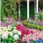 Sembrar praderas de flores silvestres: pros y contras