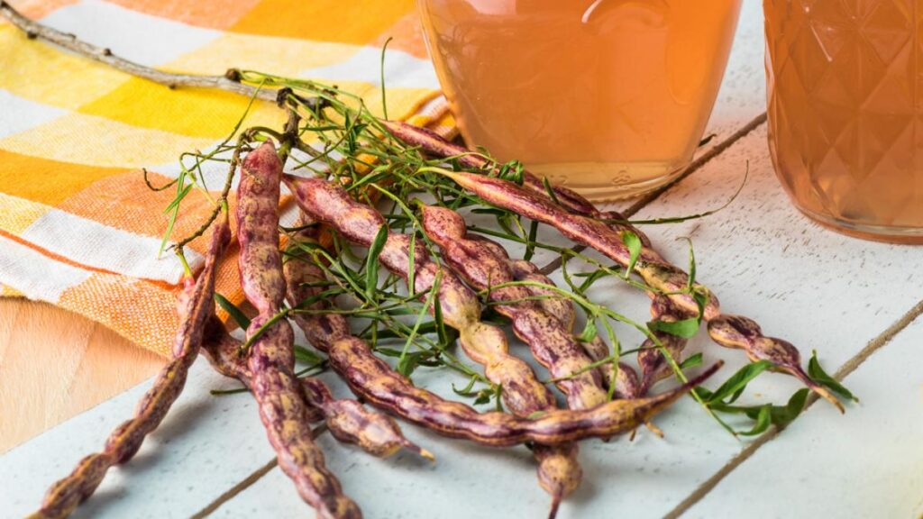 Semillas de mezquite comestibles: Tips para usarlas