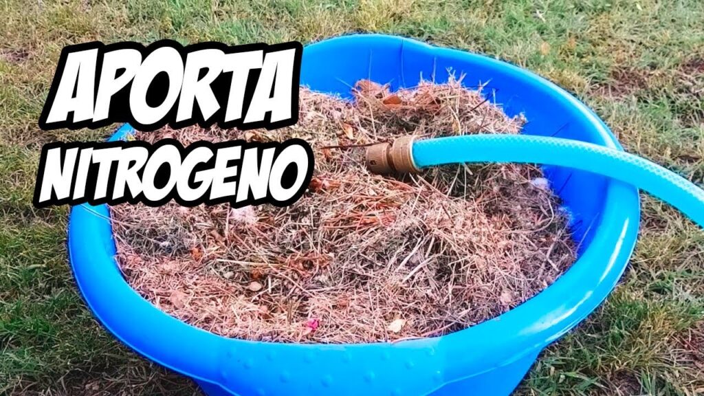 Son efectivos los fertilizantes caseros para césped