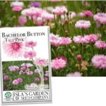 Son los ‘Bachelor Buttons’ resistentes a los ciervos