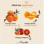 Tipos de Naranjas Navel y sus Características